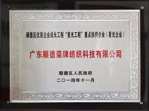 超凡国际-2012年获顺德政府颁发“星光企业”称号