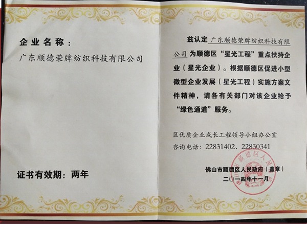 超凡国际荣获政府重点扶持企业